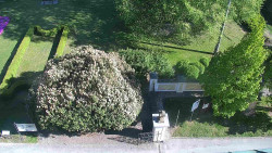 Veselíčko - zahrada u zámku