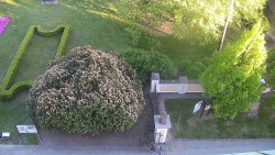 Veselíčko - zahrada u zámku