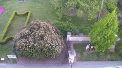 Veselíčko - zahrada u zámku