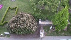 Veselíčko - zahrada u zámku