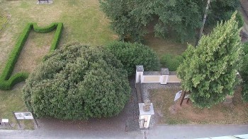 Obec Veselíčko