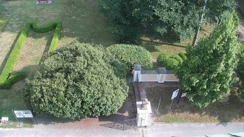 Municipality of Veselíčko