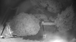 Veselíčko - zahrada u zámku