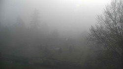 Veselíčko - park u zámku