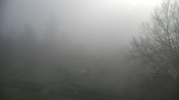 Snímek 5.11.2025 v 10:30