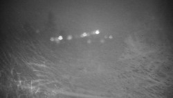 Veselíčko - park u zámku