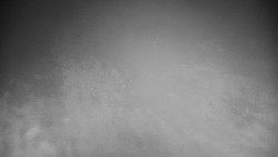 Veselíčko - park u zámku