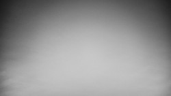 Veselíčko - park u zámku