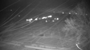 Obec Veselíčko - Veselíčko - park u zámku - 14.11.2025 v 01:30