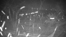 Veselíčko - park u zámku