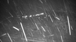 Veselíčko - park u zámku