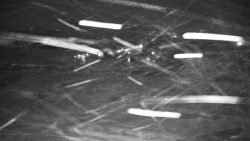 Veselíčko - park u zámku