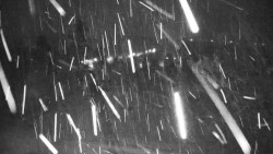 Veselíčko - park u zámku