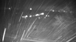 Veselíčko - park u zámku