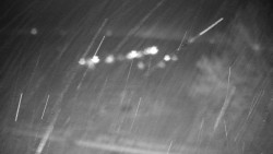 Veselíčko - park u zámku