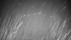 Veselíčko - park u zámku