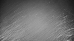 Veselíčko - park u zámku