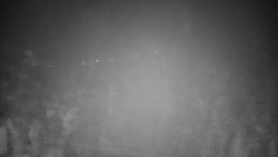 Veselíčko - park u zámku