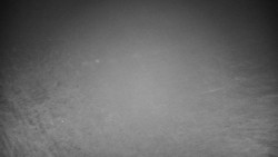 Veselíčko - park u zámku