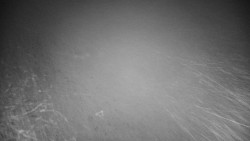 Veselíčko - park u zámku