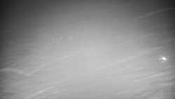 Veselíčko - park u zámku