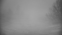 Veselíčko - park u zámku