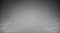 Veselíčko - park u zámku