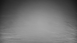 Veselíčko - park u zámku