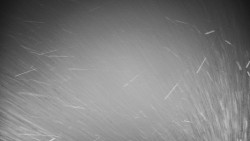 Veselíčko - park u zámku