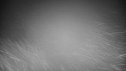 Veselíčko - park u zámku