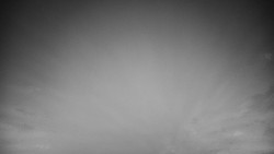 Veselíčko - park u zámku