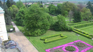 Obec Veselíčko - Příjezdová cesta k zámku - 16.4.2024 v 13:00 Obec Veselíčko - Příjezdová cesta k zámku - 16.4.2024 v 13:00