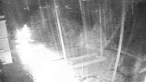 Obec Veselíčko - Příjezdová cesta k zámku - 3.11.2025 v 00:30