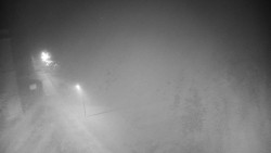 Příjezdová cesta k zámku