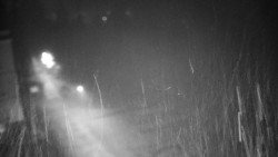 Příjezdová cesta k zámku