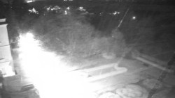 Příjezdová cesta k zámku