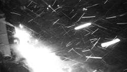 Příjezdová cesta k zámku