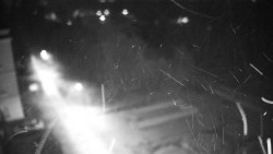 Příjezdová cesta k zámku