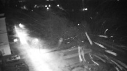 Příjezdová cesta k zámku