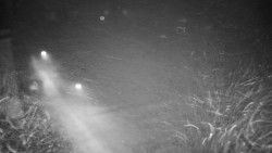 Příjezdová cesta k zámku