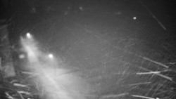 Příjezdová cesta k zámku