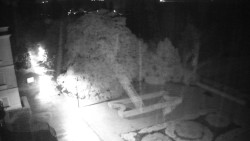 Příjezdová cesta k zámku
