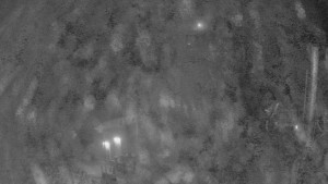 Skiareál Troják - Kamera u nástupu na vlek svah A - 2.12.2025 v 03:40 Skiareál Troják - Kamera u nástupu na vlek svah A - 2.12.2025 v 03:40