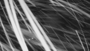 Skiareál Troják - Kamera u nástupu na vlek svah A - 30.12.2025 v 02:40