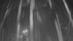 Skiareál Troják - Kamera u nástupu na vlek svah A - 24.1.2026 v 03:50