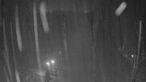 Skiareál Troják - Kamera u nástupu na vlek svah A - 24.1.2026 v 06:00