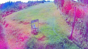 Skiareál Troják - Kamera u nástupu na vlek svah A - 16.6.2026 v 08:50 Skiareál Troják - Kamera u nástupu na vlek svah A - 16.6.2026 v 08:50