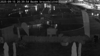 Snímek    15.9.2025 v 20:45