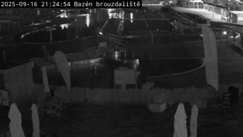 Snímek    16.9.2025 v 21:30
