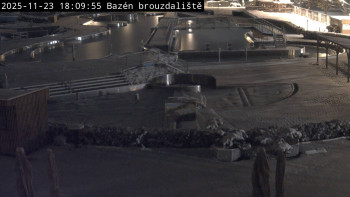 Snímek    23.11.2025 v 18:15